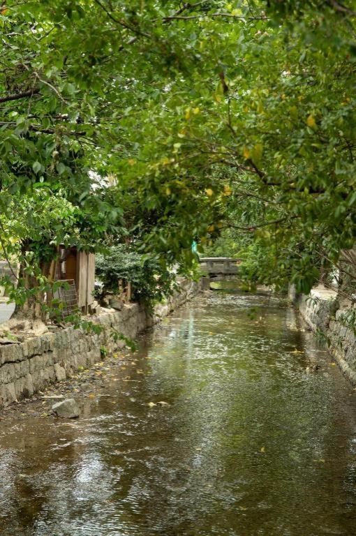Kyoto Hatsune Hotel Luaran gambar